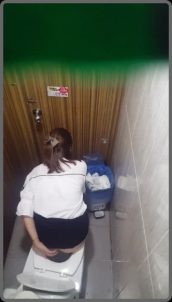 [Image: Voyeur.Toilet.Spy.1.29.png]