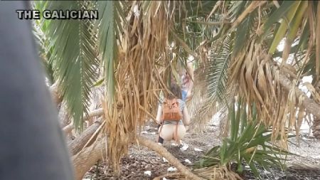 [Image: 546245365478459_3.jpg]