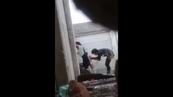 [Image: 23234sd454356465672_1.jpg]